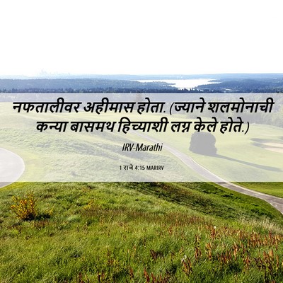 Picture 06 - 1 राजे 4:15 MARIRV - नफतालीवर अहीमास - Bible Verse Picture