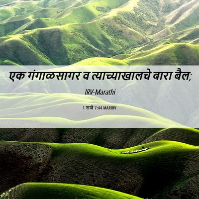 Picture 06 - 1 राजे 7:44 MARIRV - एक गंगाळसागर व - Bible Verse Picture