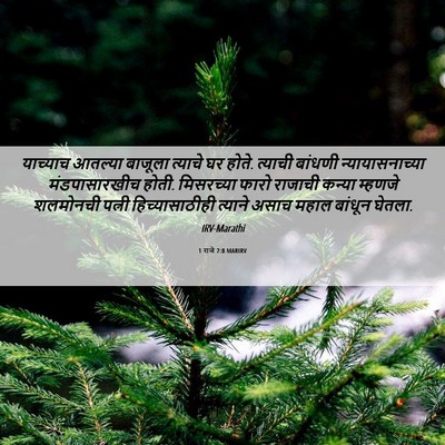Picture 06 - 1 राजे 7:8 MARIRV - याच्याच आतल्या - Bible Verse Picture