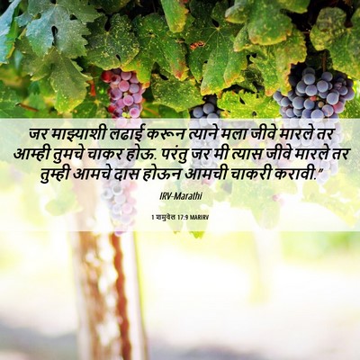 Picture 06 - 1 शमुवेल 17:9 MARIRV - जर माझ्याशी लढाई - Bible Verse Picture