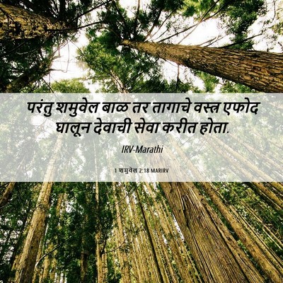 Picture 06 - 1 शमुवेल 2:18 MARIRV - परंतु शमुवेल बाळ - Bible Verse Picture