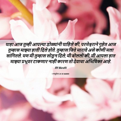 Picture 06 - 1 शमुवेल 24:10 MARIRV - पाहा आज तुम्ही - Bible Verse Picture