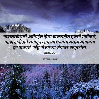Picture 06 - 1 शमुवेल 25:14 MARIRV - नाबालाची पत्नी - Bible Verse Picture