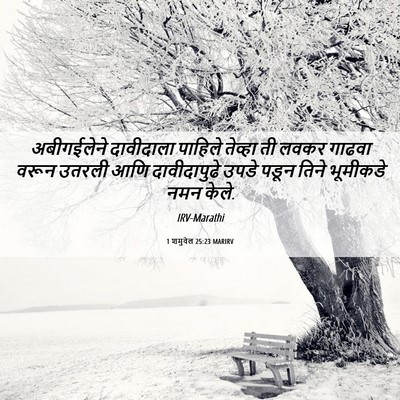 Picture 06 - 1 शमुवेल 25:23 MARIRV - अबीगईलेने - Bible Verse Picture