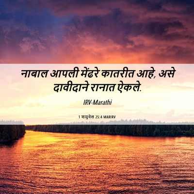 Picture 06 - 1 शमुवेल 25:4 MARIRV - नाबाल आपली मेंढरे - Bible Verse Picture