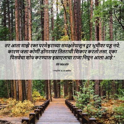 Picture 06 - 1 शमुवेल 26:20 MARIRV - तर आता माझे रक्त - Bible Verse Picture