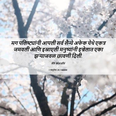 Picture 06 - 1 शमुवेल 29:1 MARIRV - मग पलिष्ट्यांनी - Bible Verse Picture