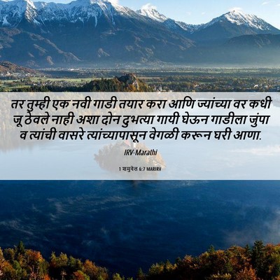 Picture 06 - 1 शमुवेल 6:7 MARIRV - तर तुम्ही एक नवी - Bible Verse Picture