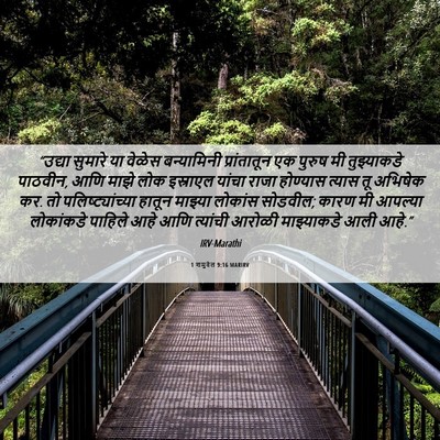 Picture 06 - 1 शमुवेल 9:16 MARIRV - “उद्या सुमारे या - Bible Verse Picture