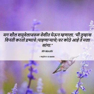 Picture 06 - 1 शमुवेल 9:18 MARIRV - मग शौल शमुवेलाजवळ - Bible Verse Picture