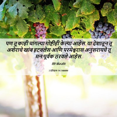 Picture 06 - 2 इतिहास 19:3 MARIRV - पण तू काही - Bible Verse Picture