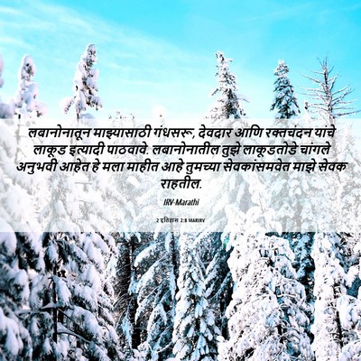 Picture 06 - 2 इतिहास 2:8 MARIRV - लबानोनातून - Bible Verse Picture