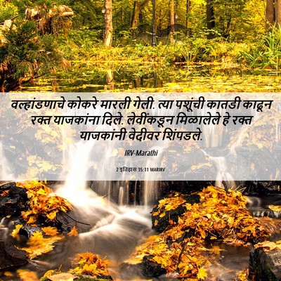 Picture 06 - 2 इतिहास 35:11 MARIRV - वल्हांडणाचे कोकरे - Bible Verse Picture