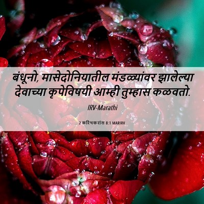 Picture 06 - 2 करिंथकरांस 8:1 MARIRV - बंधूनो, - Bible Verse Picture