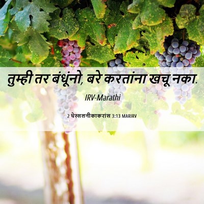 Picture 06 - 2 थेस्सलनीकाकरांस 3:13 MARIRV - तुम्ही तर बंधूंनो, - Bible Verse Picture