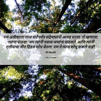 Picture 06 - 2 राजे 2:17 MARIRV - पण अलीशाला लाज - Bible Verse Picture