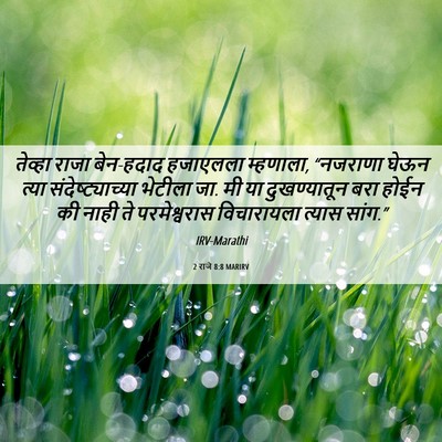 Picture 06 - 2 राजे 8:8 MARIRV - तेव्हा राजा - Bible Verse Picture
