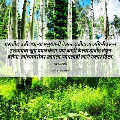 Picture 06 - 2 शमुवेल 12:17 MARIRV - घरातील वडीलधाऱ्या - Bible Verse Picture