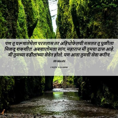Picture 06 - 2 शमुवेल 15:34 MARIRV - पण तू यरूशलेमेला - Bible Verse Picture