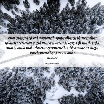 Picture 06 - 2 शमुवेल 16:2 MARIRV - राजा दावीदाने “हे - Bible Verse Picture