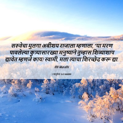 Picture 06 - 2 शमुवेल 16:9 MARIRV - सरुवेचा मुलगा - Bible Verse Picture