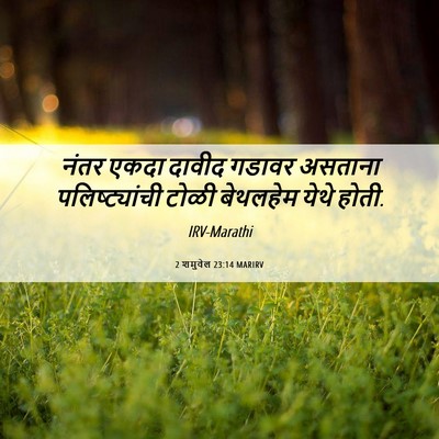 Picture 06 - 2 शमुवेल 23:14 MARIRV - नंतर एकदा दावीद - Bible Verse Picture