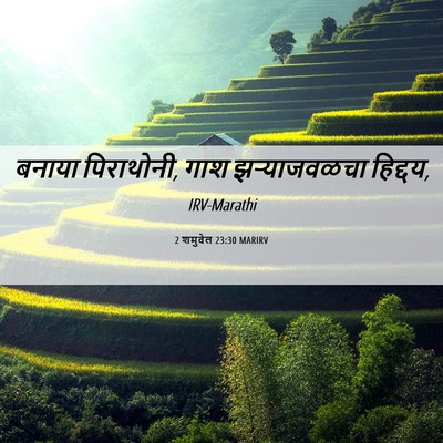 Picture 06 - 2 शमुवेल 23:30 MARIRV - बनाया पिराथोनी, - Bible Verse Picture