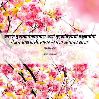 Picture 06 - 3 योहान 1:3 MARIRV - कारण तू सत्याने - Bible Verse Picture