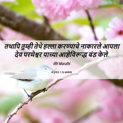 Picture 06 - अनुवाद 1:26 MARIRV - तथापि तुम्ही तेथे - Bible Verse Picture