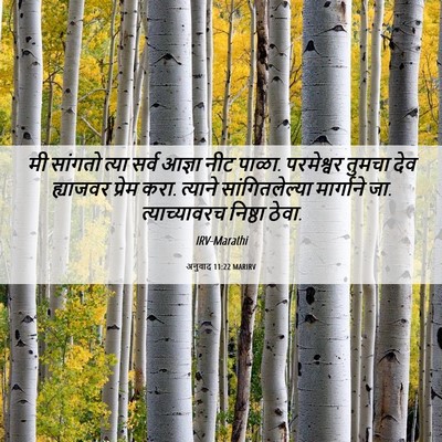Picture 06 - अनुवाद 11:22 MARIRV - मी सांगतो त्या - Bible Verse Picture