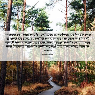 Picture 06 - अनुवाद 12:11 MARIRV - मग तुमचा देव - Bible Verse Picture