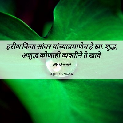 Picture 06 - अनुवाद 12:22 MARIRV - हरीण किंवा सांबर - Bible Verse Picture