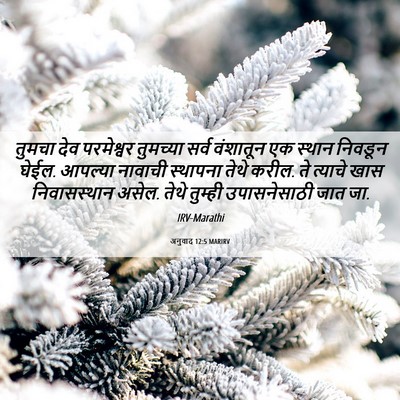 Picture 06 - अनुवाद 12:5 MARIRV - तुमचा देव - Bible Verse Picture