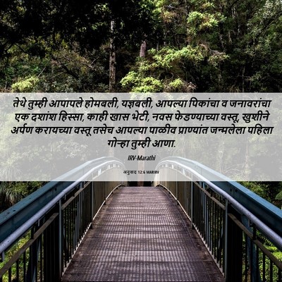 Picture 06 - अनुवाद 12:6 MARIRV - तेथे तुम्ही - Bible Verse Picture