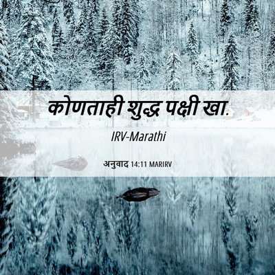 Picture 06 - अनुवाद 14:11 MARIRV - कोणताही शुद्ध - Bible Verse Picture