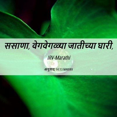 Picture 06 - अनुवाद 14:13 MARIRV - ससाणा, वेगवेगळ्या - Bible Verse Picture