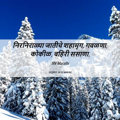 Picture 06 - अनुवाद 14:15 MARIRV - निरनिराळ्या - Bible Verse Picture
