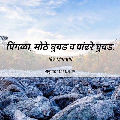 Picture 06 - अनुवाद 14:16 MARIRV - पिंगळा, मोठे घुबड व - Bible Verse Picture