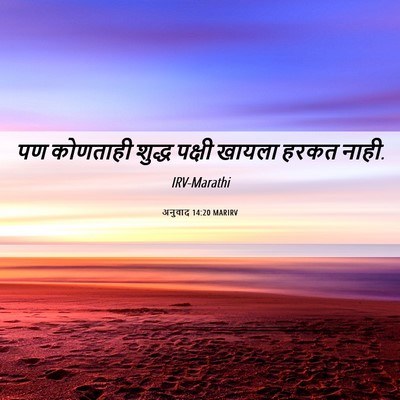 Picture 06 - अनुवाद 14:20 MARIRV - पण कोणताही शुद्ध - Bible Verse Picture