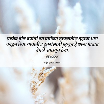 Picture 06 - अनुवाद 14:28 MARIRV - प्रत्येक तीन - Bible Verse Picture