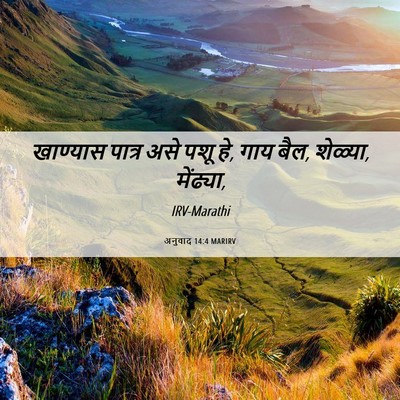 Picture 06 - अनुवाद 14:4 MARIRV - खाण्यास पात्र असे - Bible Verse Picture
