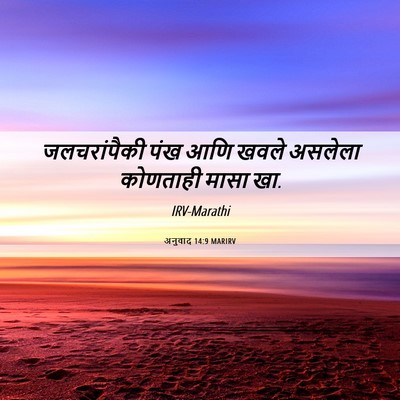 Picture 06 - अनुवाद 14:9 MARIRV - जलचरांपैकी पंख - Bible Verse Picture