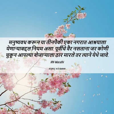 Picture 06 - अनुवाद 19:4 MARIRV - मनुष्यवध करून या - Bible Verse Picture