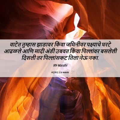 Picture 06 - अनुवाद 22:6 MARIRV - वाटेत तुम्हास - Bible Verse Picture