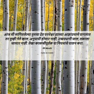 Picture 06 - अनुवाद 28:13 MARIRV - आज मी - Bible Verse Picture