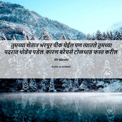 Picture 06 - अनुवाद 28:38 MARIRV - तुमच्या शेतात - Bible Verse Picture