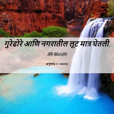 Picture 06 - अनुवाद 3:7 MARIRV - गुरेढोरे आणि - Bible Verse Picture