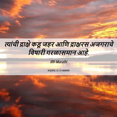 Picture 06 - अनुवाद 32:33 MARIRV - त्यांची द्राक्षे - Bible Verse Picture