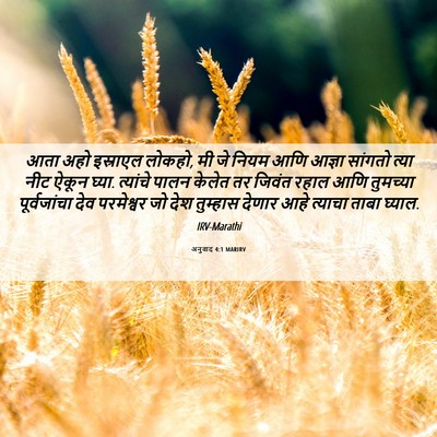 Picture 06 - अनुवाद 4:1 MARIRV - आता अहो इस्राएल - Bible Verse Picture