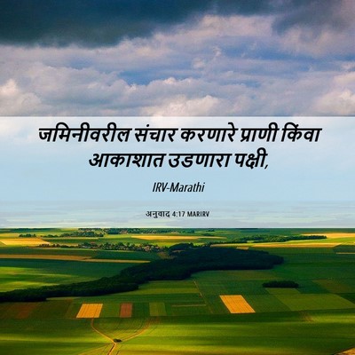 Picture 06 - अनुवाद 4:17 MARIRV - जमिनीवरील संचार - Bible Verse Picture